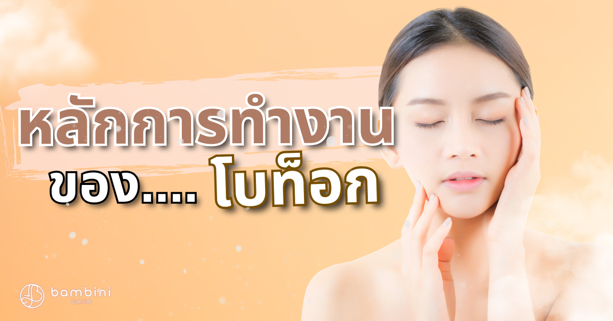 โบท็อกทำงานอย่างไร